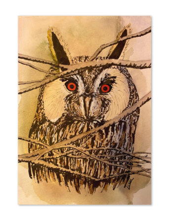 Carte de vœux - La sagesse du hibou